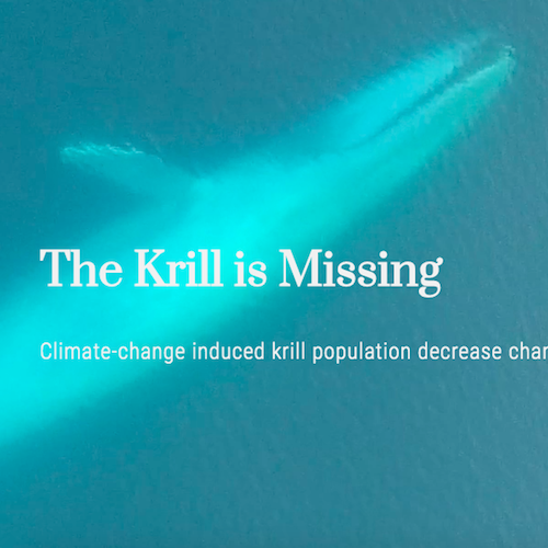 krill is missing simulation